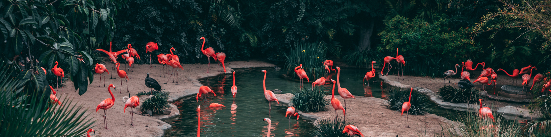 青海方扬国际旅行社有限公司驻马店学院路店